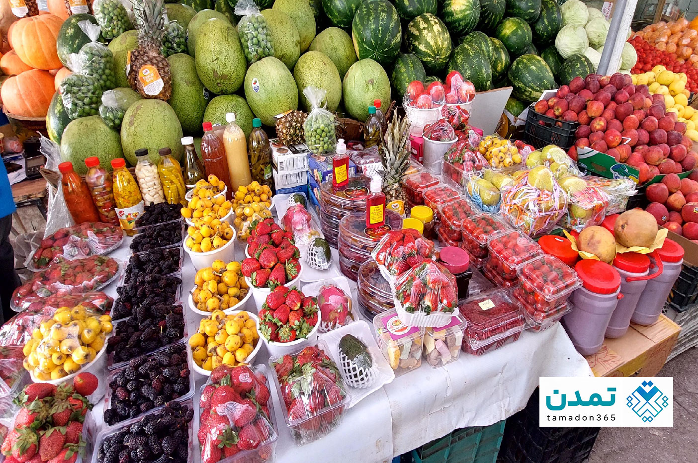  ۷ میوه فروشی و تره بار کرج