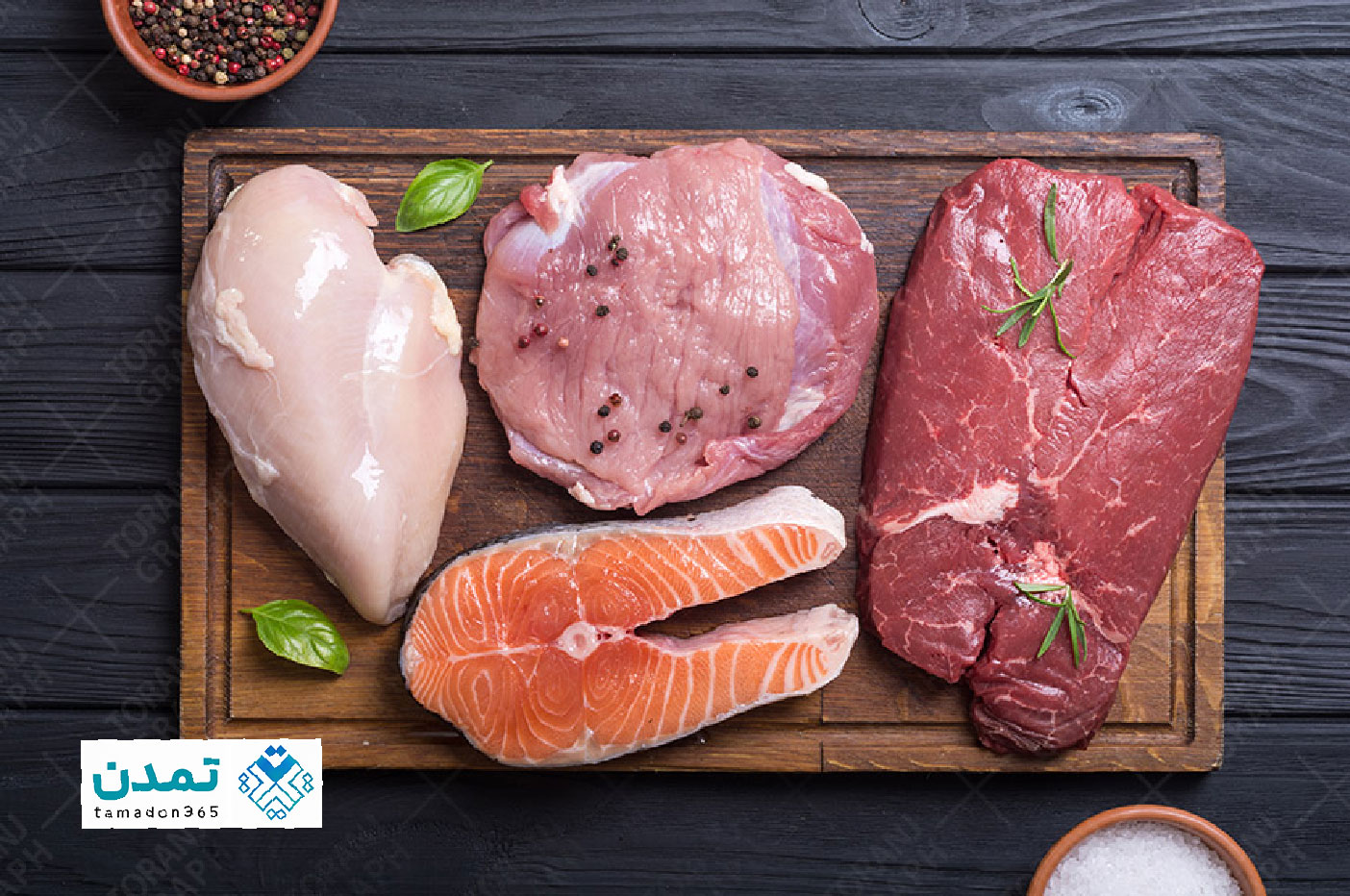 بهترین پروتئینی در کرج